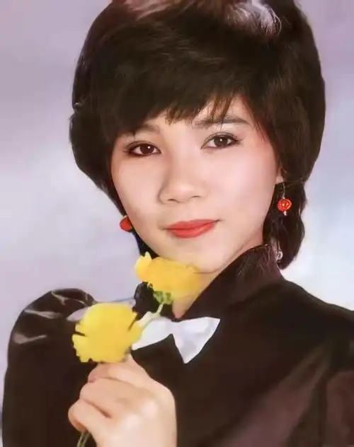 韩宝仪近况和近照(凭粉红色的回忆爆红28岁嫁给粉丝韩宝仪为何销声
