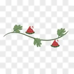 手绘插画风西瓜藤分割线装饰素材