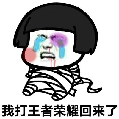 王者荣耀鼻青脸肿1v9表情包