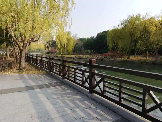 垂直式驳岸,这里的栏杆是防腐木栏杆样式,外出驳岸为自然式草坪入水