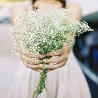 手捧蓝色满天星男生图片_微信头像图片大全