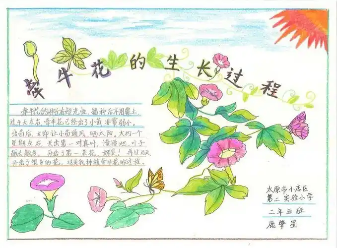 生物多样性看山西自然笔记大赛作品展四