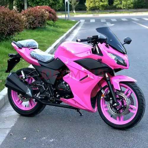 上牌国四小忍者摩托车跑车川崎250机车街车400cc地平线趴赛整车可上牌