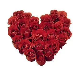 谁有用玫瑰花组成心形的图片,《用的图片是qq表情里》