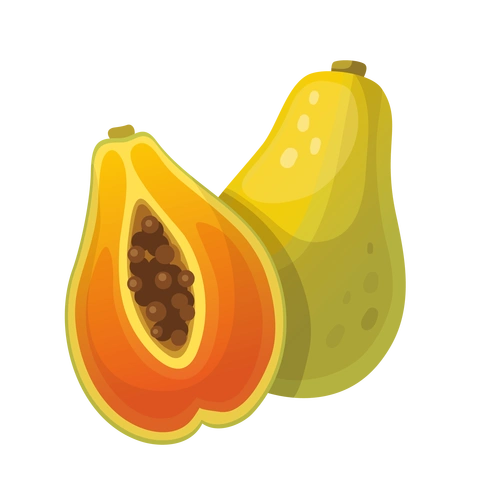 水果木瓜图片大全