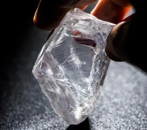 阿联酋公司天价收购重达813克拉钻石原石