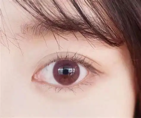 世界上眼睛最漂亮的人全球公认眼睛最漂亮的4位女星2022已更新今日