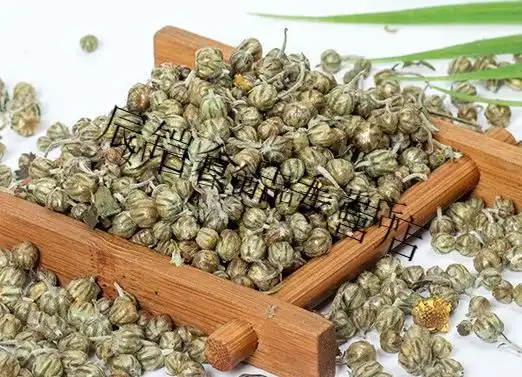 焦作珍珠菊250g怀胎菊珍珠菊花茶河南焦作淮胎菊