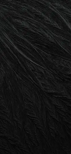 「壁纸」超a质感 黑色 纯色 高清 商务 简洁 让你瞬间提升b格