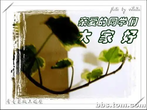亲爱的同学们大家好.pdf 10页
