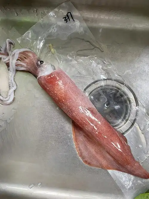 大鱿鱼09处理小技巧附切花细节图看了就会