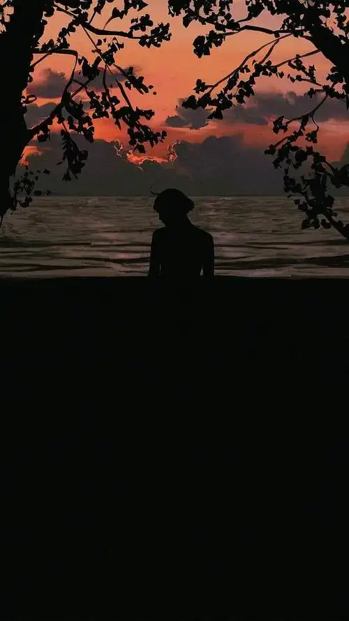 求黑色系壁纸谢谢友友们