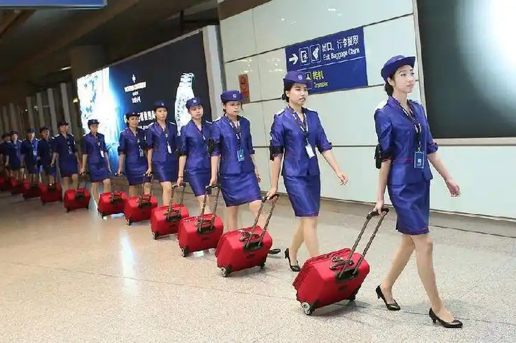 场为什么要拉个箱子,里面到底装了什么,看看就知道了|空姐|箱子|飞机