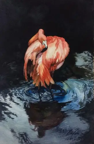 火烈鸟,纪梵作品.