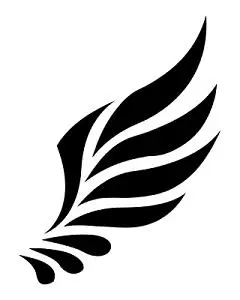 翅膀素材-翅膀图片-翅膀素材图片下载-觅知网