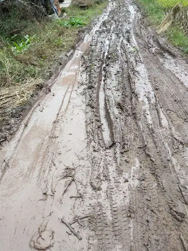 槐树村二社的烂泥巴路烂成这样,不摆了,哎!