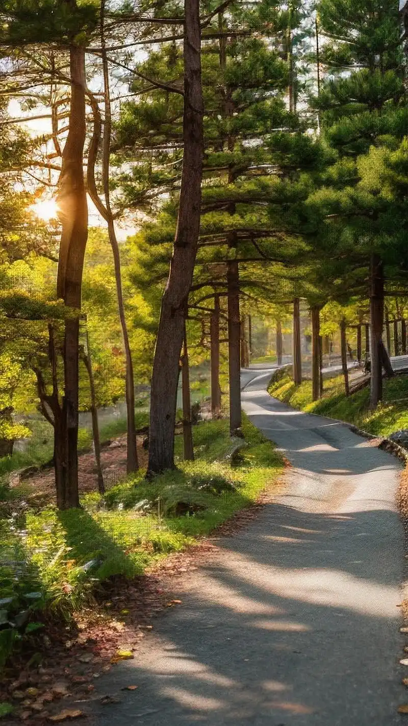 分享一波充满正能量的阳光壁纸🌈,每一张都能让心情瞬间明媚起来!