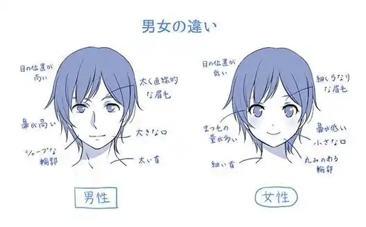 男生与女生脸部的区别