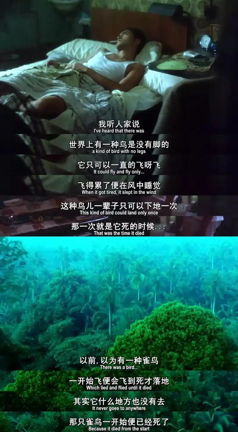 《阿飞正传》:真实的人生常以伤痛句读,好的艺术片常以抱憾点睛