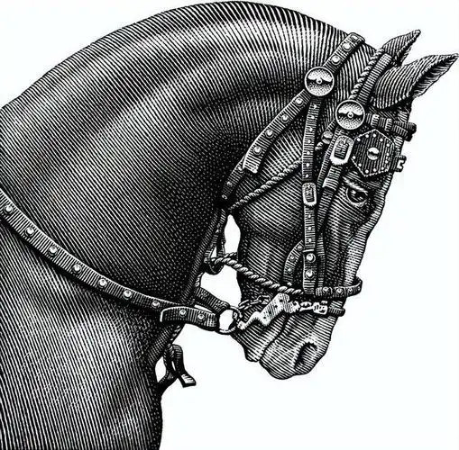 自然的力量动物系列黑白版画平面插画