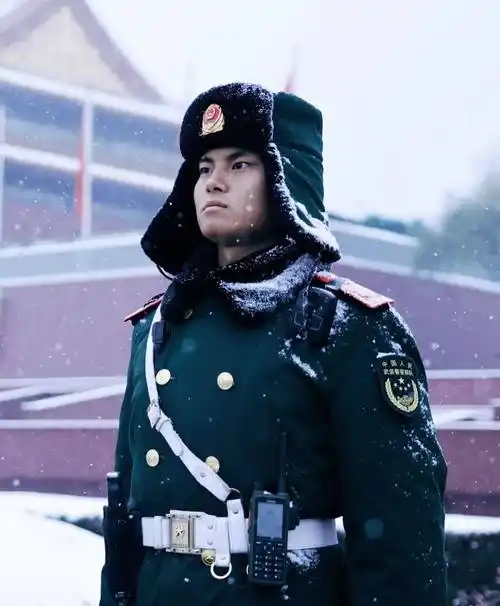 雪中遇兵哥,这组图冲上热搜!