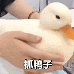 表情包:最近很火的"抓鸭子"是什么梗
