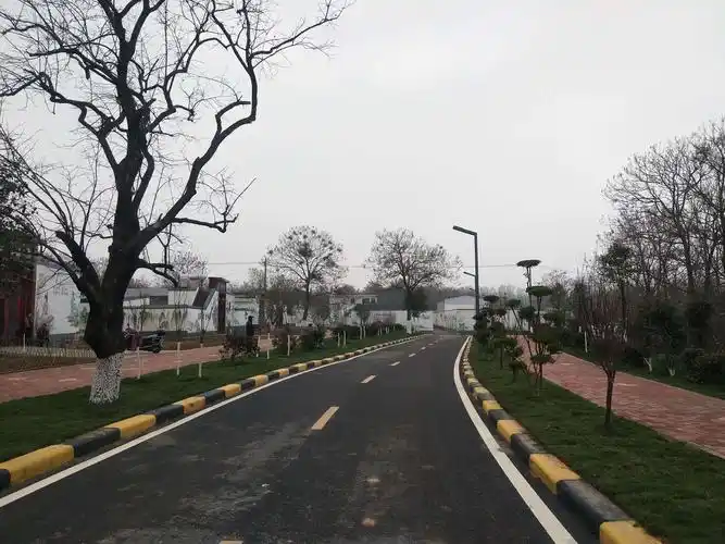 拼干劲 亮实绩 新密市美丽乡村建设高质量发展--2020年第一季度农村人