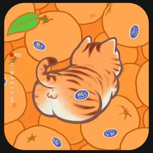 心想事橙!橙色系列头像来咯!