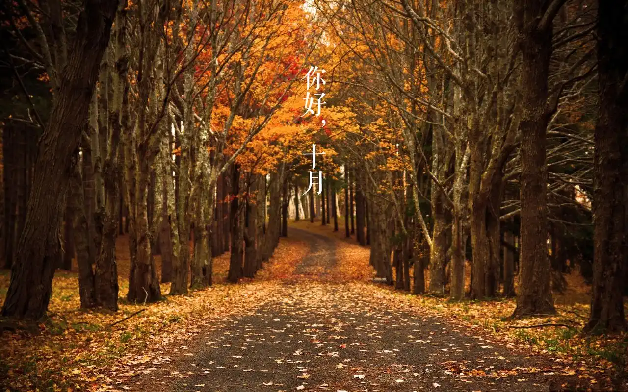 金秋十月专用唯美治愈系风景图片桌面壁纸高清