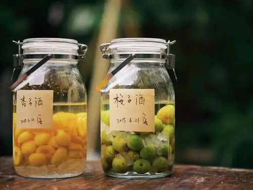 青梅酒的做法