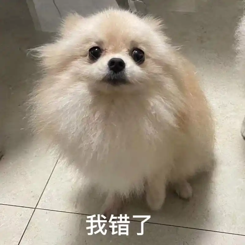 分享一张做错事的小狗表情[awsl][awsl][awsl]