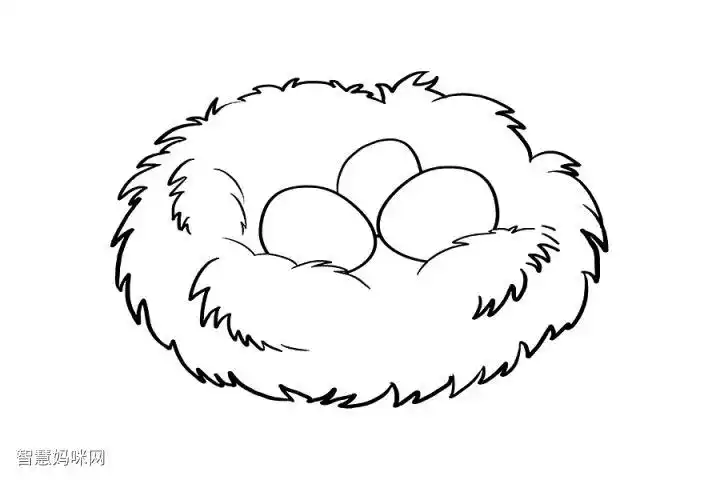 如何画鸟巢