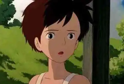 我的世界龙猫草壁皋月皮肤