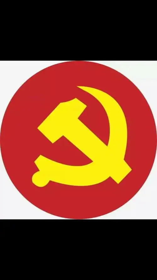 全体党员开展戴党徽,亮身份,做表率活动.