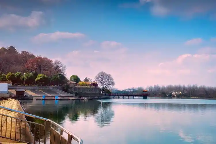 南京号称是鸟类天堂的湖泊,被誉为"南京的北湖",离市区不远