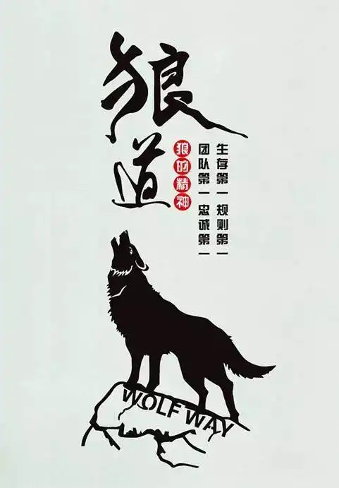 检验人成长记——狼道精神