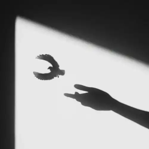 收集了一些极简主义的性冷淡风头像以后换微信头像使用