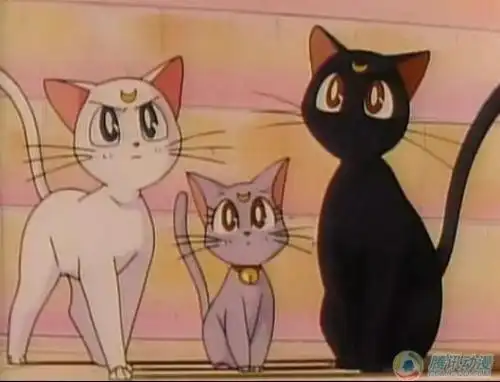 美少女战士里的那只白猫叫什麽名字