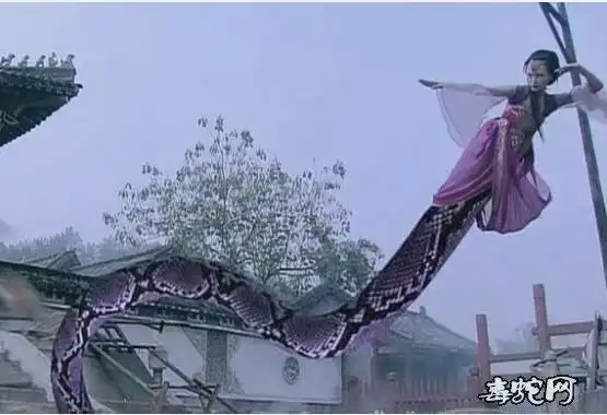 人头蛇尾美女变蛇图片大全