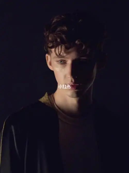 troyesivan╰壁纸