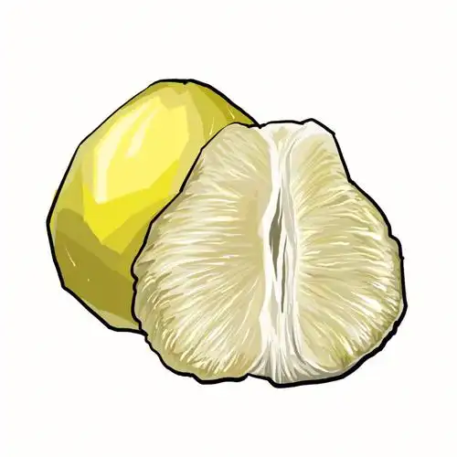 柚子简笔画教学