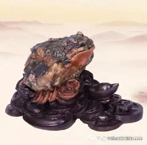 精品"金蟾"奇石欣赏!