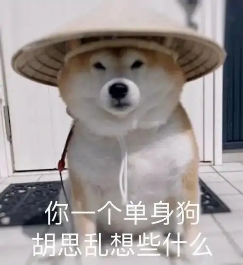 你一个单身狗胡思乱想些什么呢