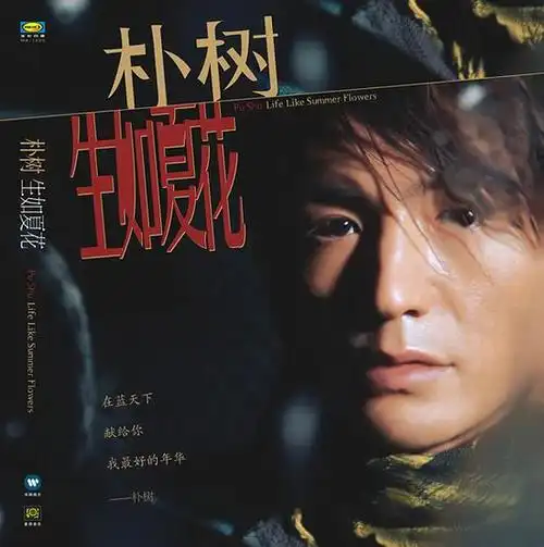 视频:朴树,达达,译乐队新歌mtv欣赏(组图)