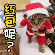 2020微信红包表情包图片大全斗图要红包发红包专用