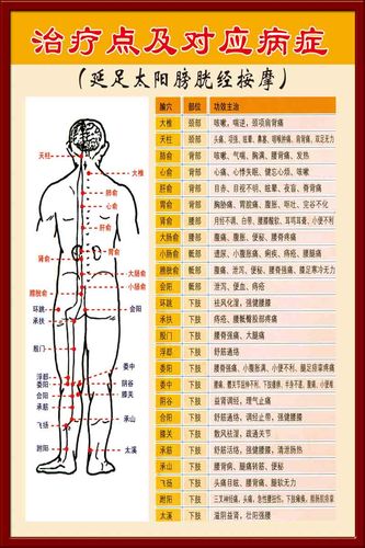 海报印制305素材人体器官展板27延足太阳膀胱经按摩 ps  非高清图