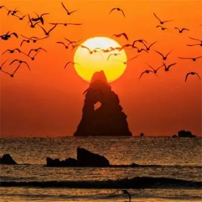 适合永久做头像的唯美图片让人一看就舒心的微信头像