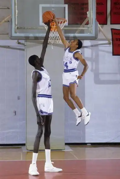 被誉为nba历史第一高度的波尔来自苏丹,他的身高达到了2米31,而臂展更