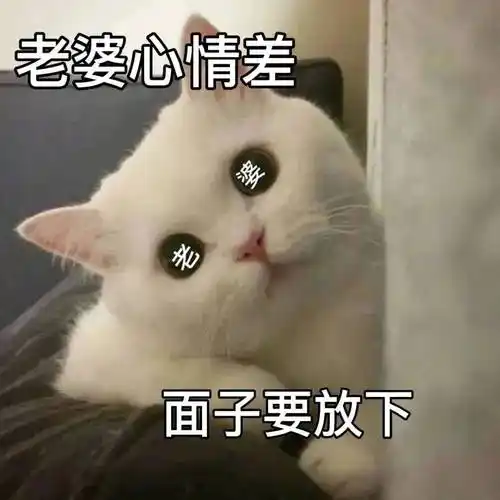 情侣日常聊天表情包