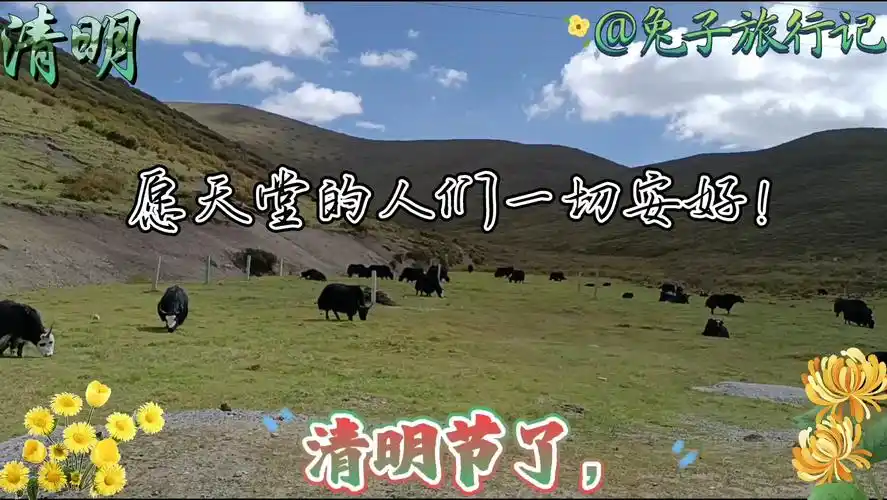 清明节要到了,愿天堂的人们一切安好!